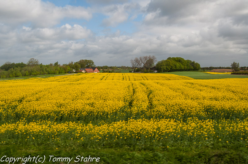 Danmarksresan maj 2012