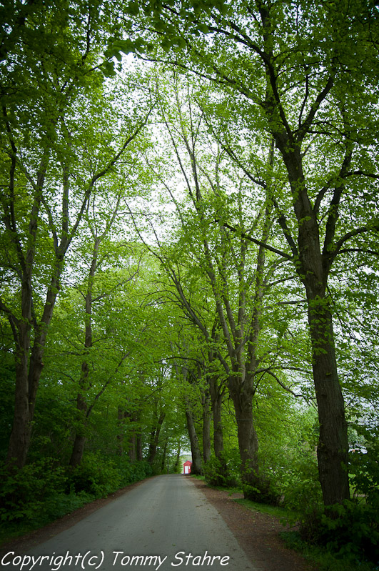 Danmarksresan maj 2012