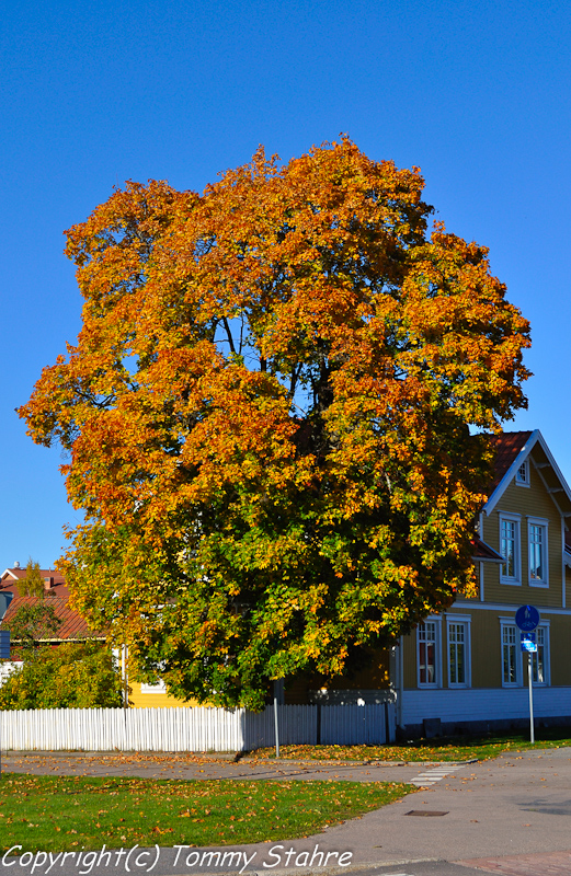 Västanfors