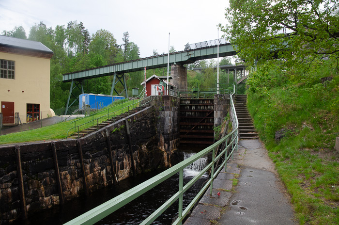 kalle