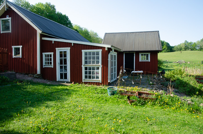 kalle